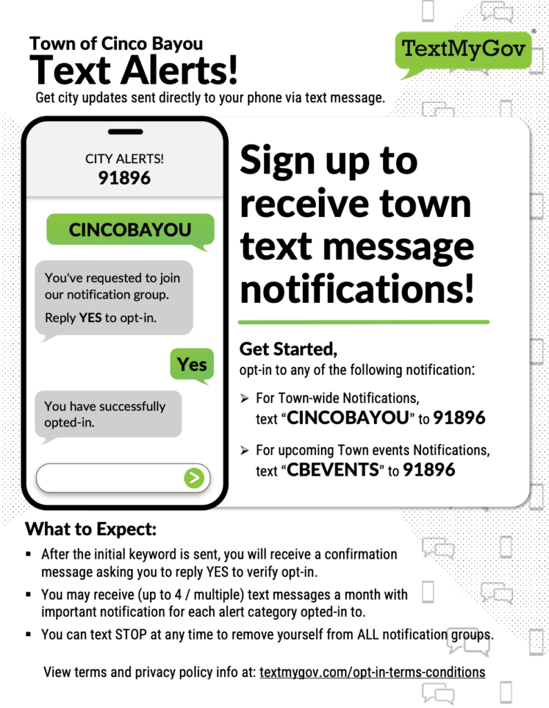 cincobayou-text-num-graphic-2png